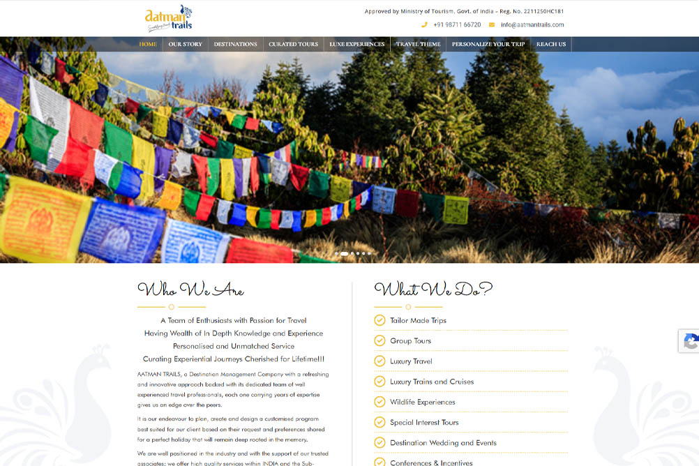 wordpress blog