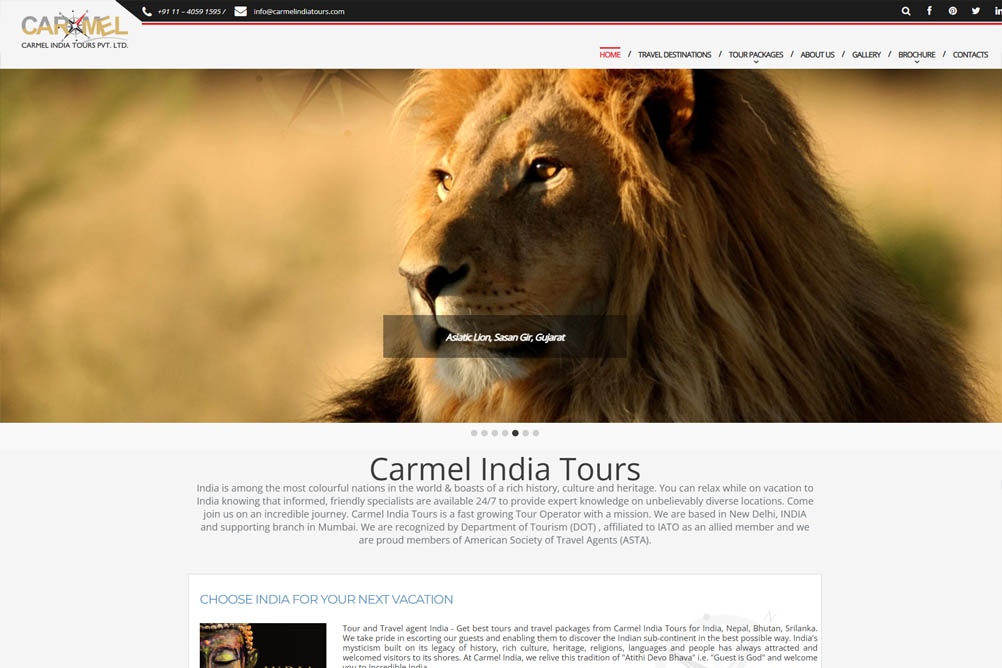 wordpress blog