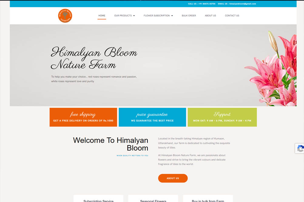 wordpress blog