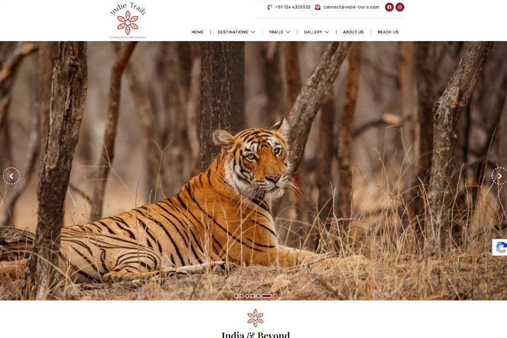 wordpress blog