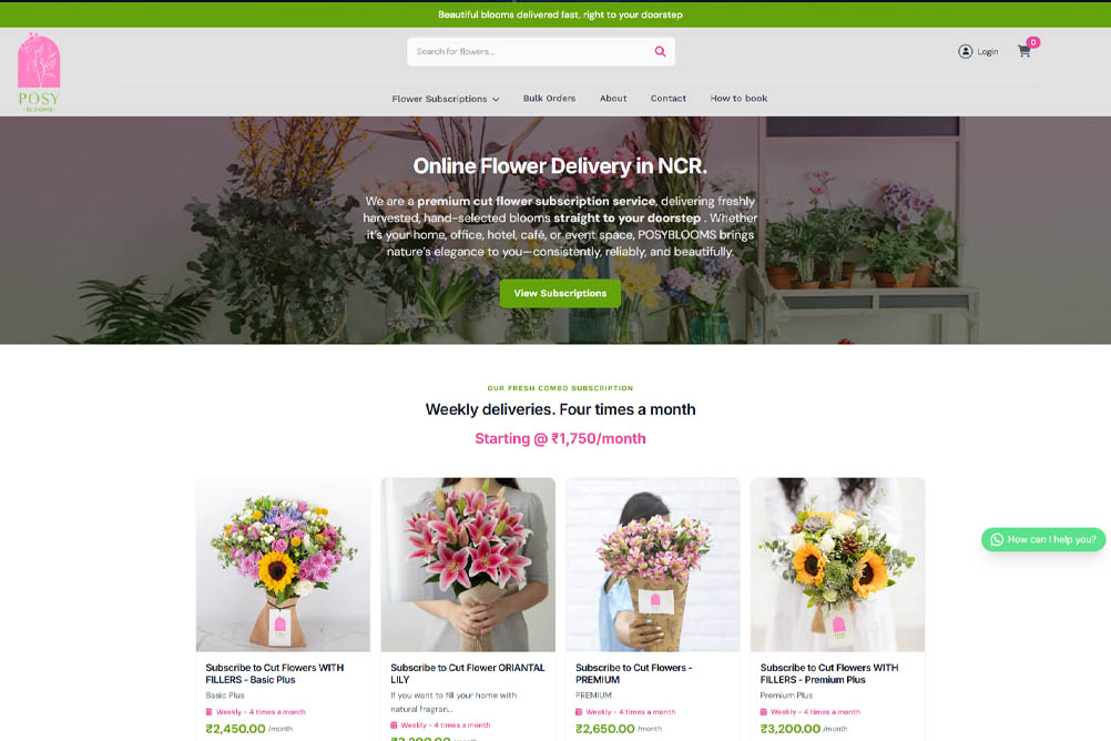 wordpress blog