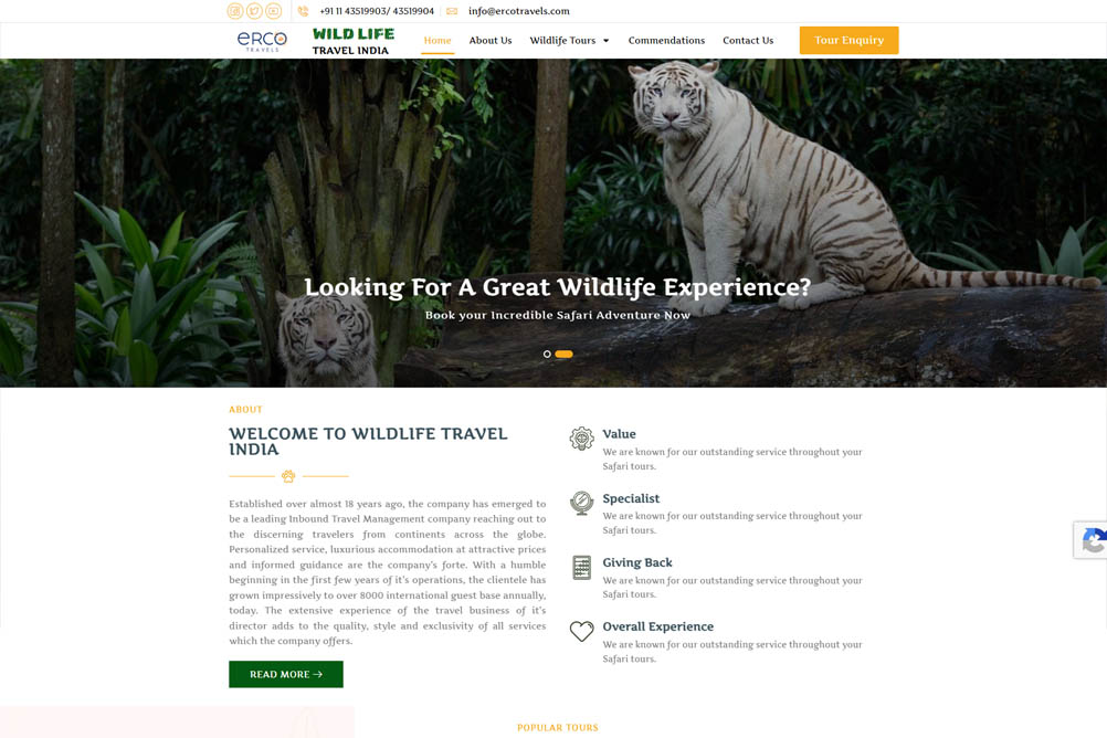 wordpress blog